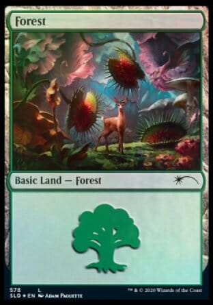 Forest (Predatory) (578) [Secret Lair Drop Promos] MTG Single Magic: The Gathering  | Multizone: Comics And Games