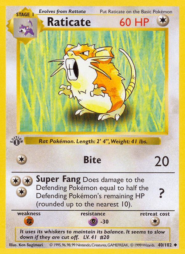 Raticate (40/102) (Shadowless) [Base Set 1st Edition] Pokemon Single Pokémon  | Multizone: Comics And Games