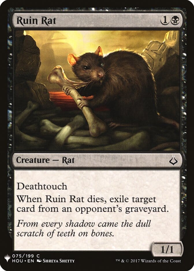 Ruin Rat [Mystery Booster] MTG Single Magic: The Gathering  | Multizone: Comics And Games