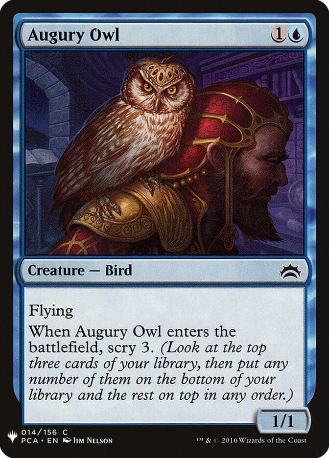 Augury Owl [Mystery Booster] MTG Single Magic: The Gathering  | Multizone: Comics And Games