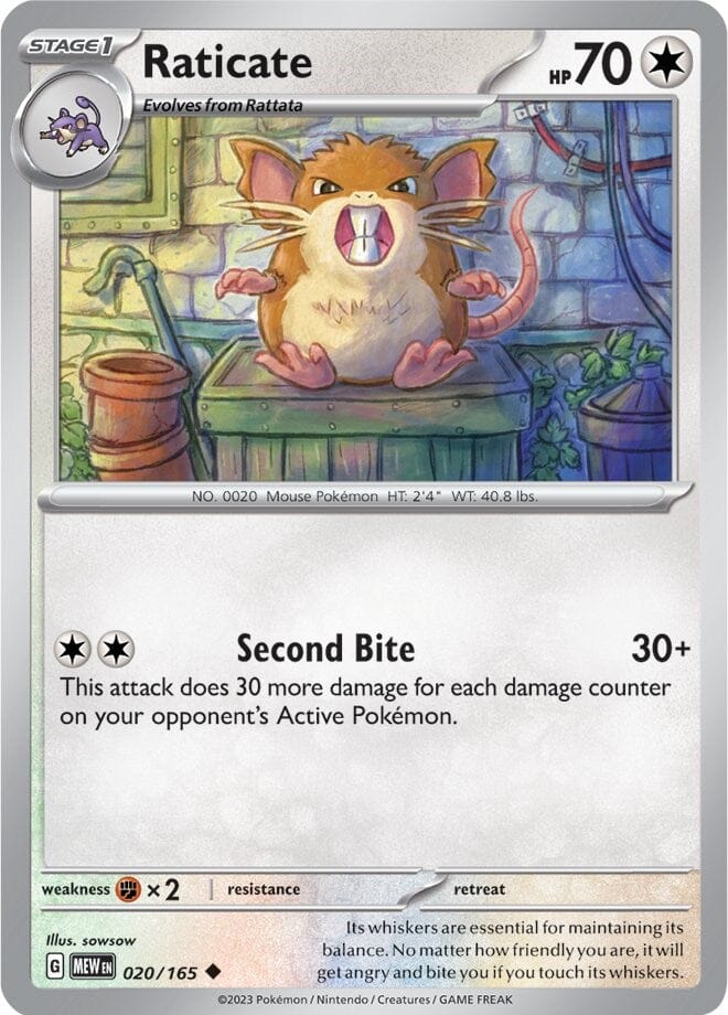 Raticate (020/165) [Scarlet & Violet 151] Pokemon Single Pokémon  | Multizone: Comics And Games
