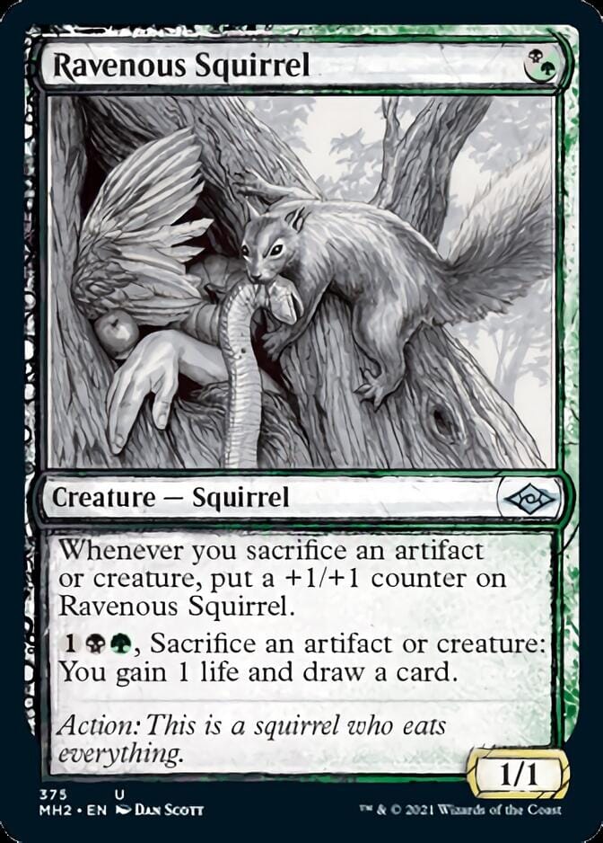Ravenous Squirrel (Sketch) [Modern Horizons 2] MTG Single Magic: The Gathering  | Multizone: Comics And Games