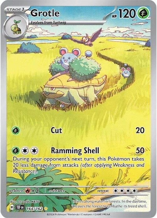 Grotle (164/162) [Scarlet & Violet: Temporal Forces] Pokemon Single Pokémon  | Multizone: Comics And Games
