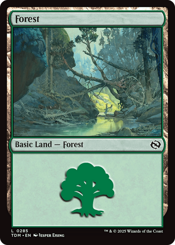 Forest (0285) [Tarkir: Dragonstorm] MTG Single Magic: The Gathering  | Multizone: Comics And Games