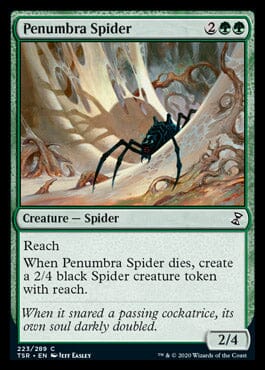 Penumbra Spider [Time Spiral Remastered] MTG Single Magic: The Gathering  | Multizone: Comics And Games