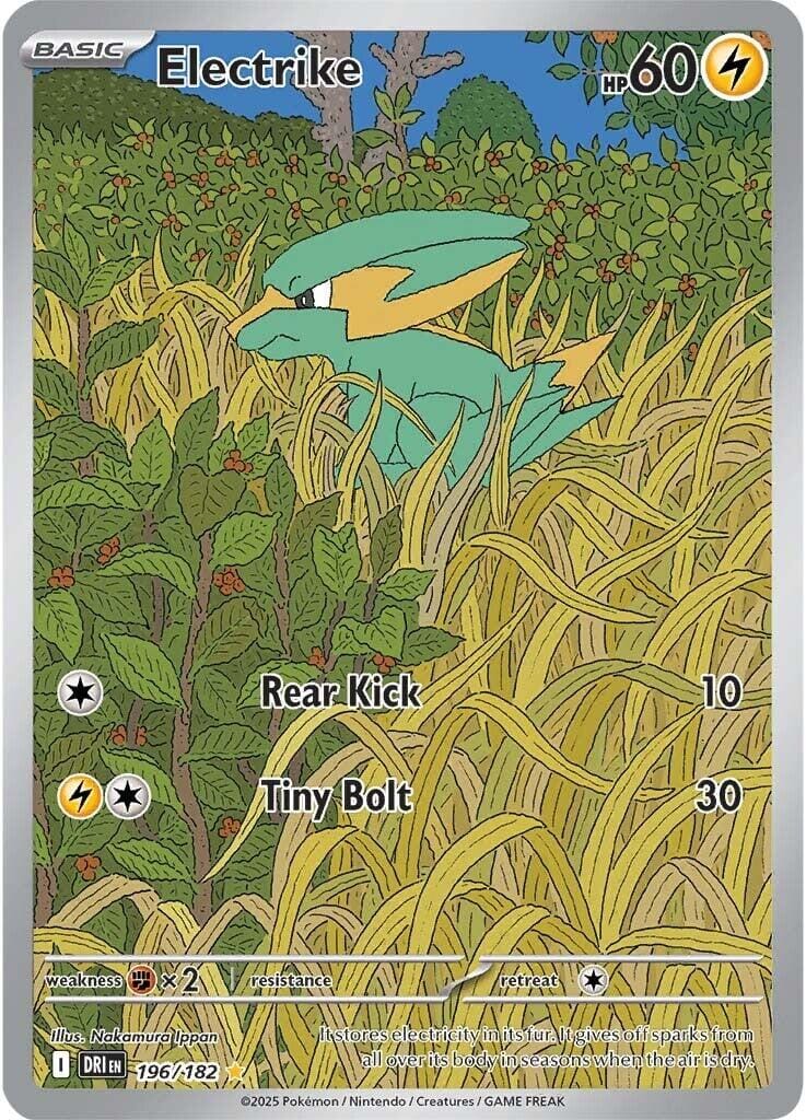 Electrike (196/182) [Scarlet & Violet: Destined Rivals] Pokemon Single Pokémon  | Multizone: Comics And Games