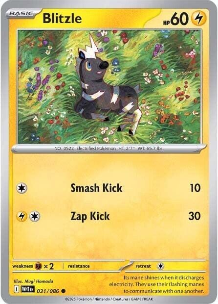 Blitzle (031/086) [Scarlet & Violet: White Flare] Pokemon Single Pokémon  | Multizone: Comics And Games