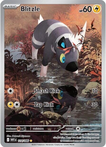Blitzle (114/086) [Scarlet & Violet: White Flare] Pokemon Single Pokémon  | Multizone: Comics And Games