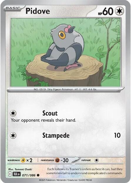 Pidove (071/086) [Scarlet & Violet: Black Bolt] Pokemon Single Pokémon  | Multizone: Comics And Games