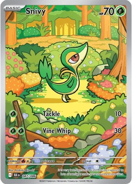 Snivy (087/086) [Scarlet & Violet: Black Bolt] Pokemon Single Pokémon  | Multizone: Comics And Games