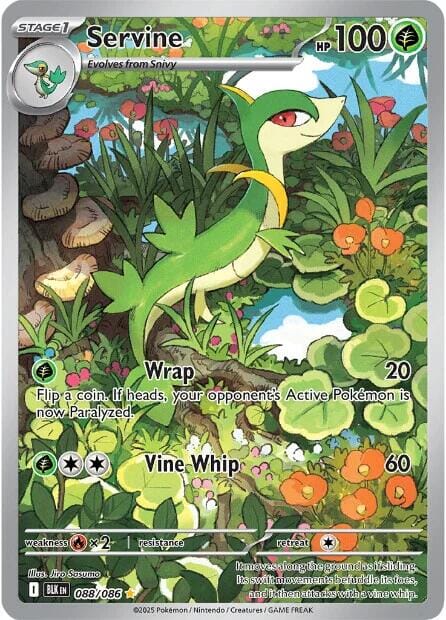 Servine (088/086) [Scarlet & Violet: Black Bolt] Pokemon Single Pokémon  | Multizone: Comics And Games