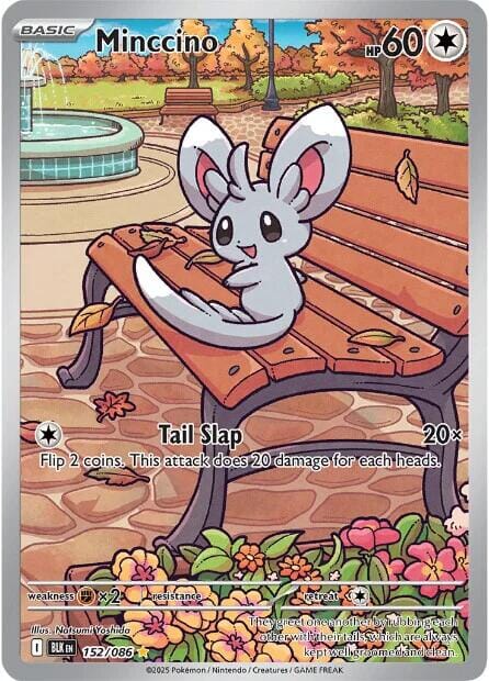 Minccino (152/086) [Scarlet & Violet: Black Bolt] Pokemon Single Pokémon  | Multizone: Comics And Games
