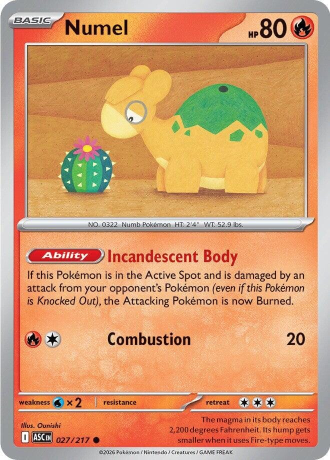 Numel (027/217) [Mega Evolution: Ascended Heroes] Pokemon Single Pokémon  | Multizone: Comics And Games