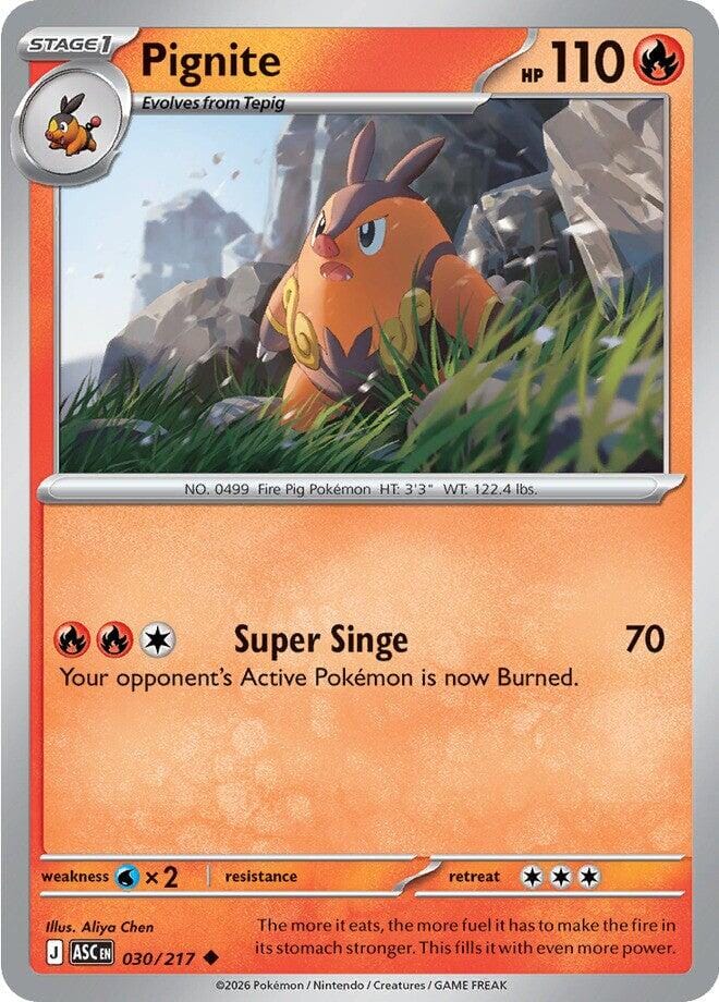 Pignite (030/217) [Mega Evolution: Ascended Heroes] Pokemon Single Pokémon  | Multizone: Comics And Games