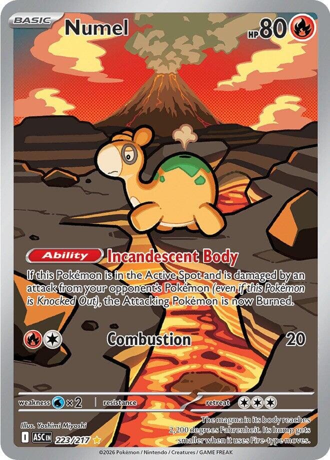 Numel (223/217) [Mega Evolution: Ascended Heroes] Pokemon Single Pokémon  | Multizone: Comics And Games