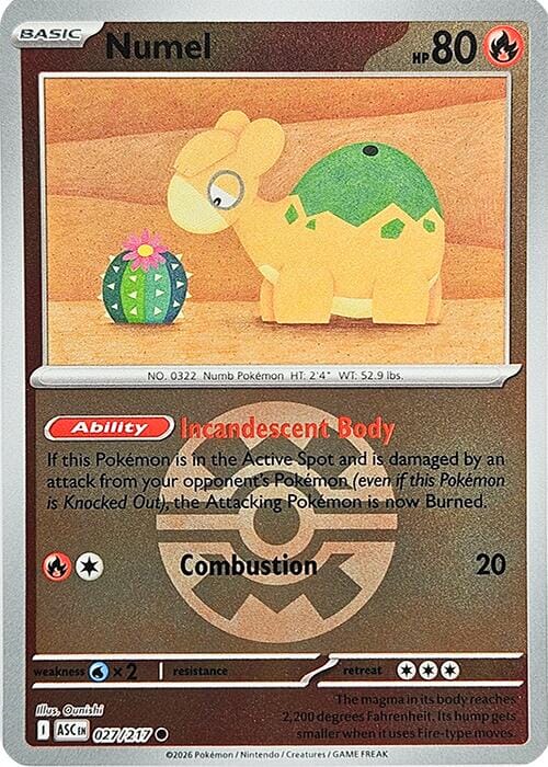 Numel (027/217) (Quick Ball) [Mega Evolution: Ascended Heroes] Pokemon Single Pokémon  | Multizone: Comics And Games