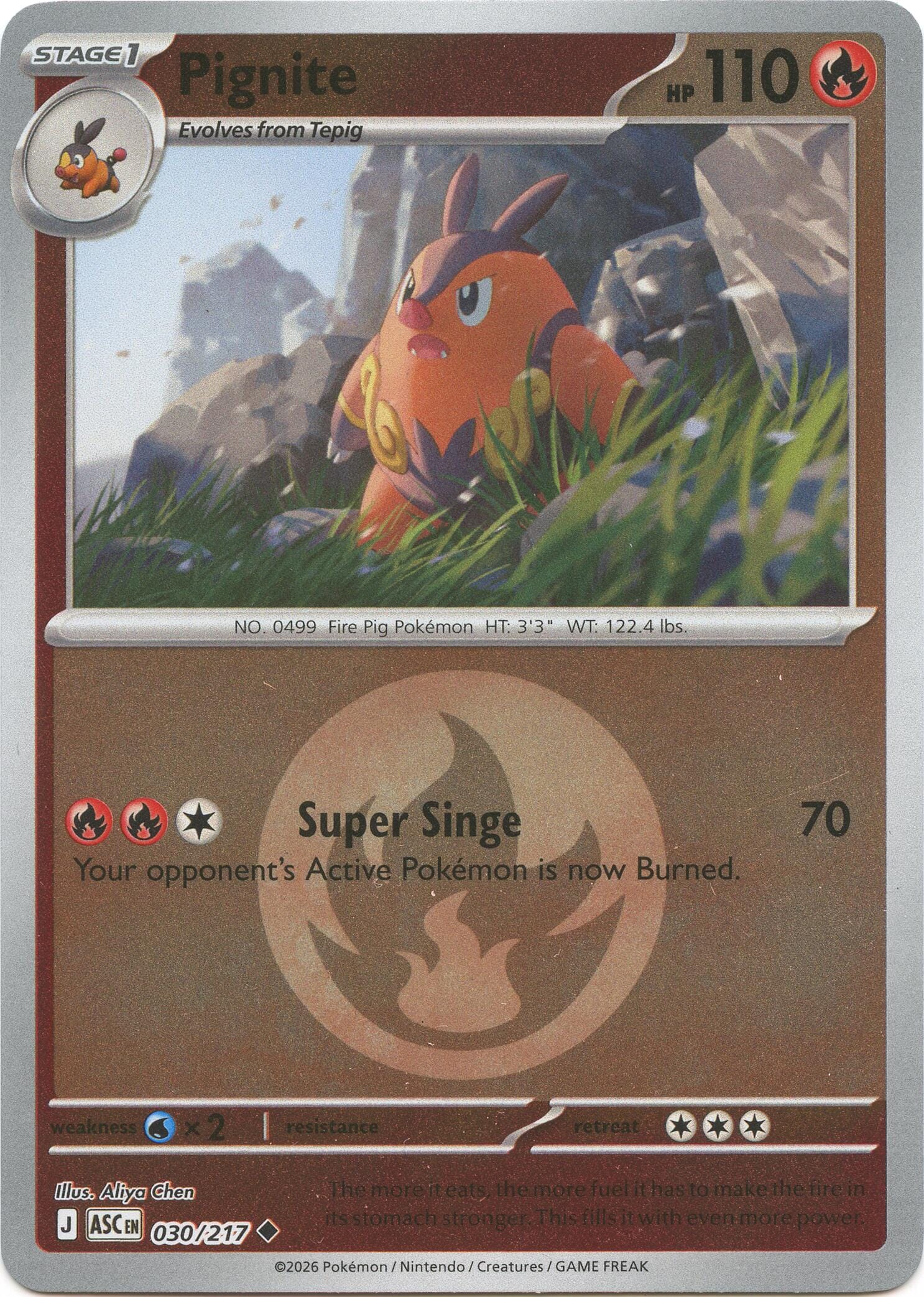 Pignite (030/217) (Energy Symbol Pattern) [Mega Evolution: Ascended Heroes] Pokemon Single Pokémon  | Multizone: Comics And Games