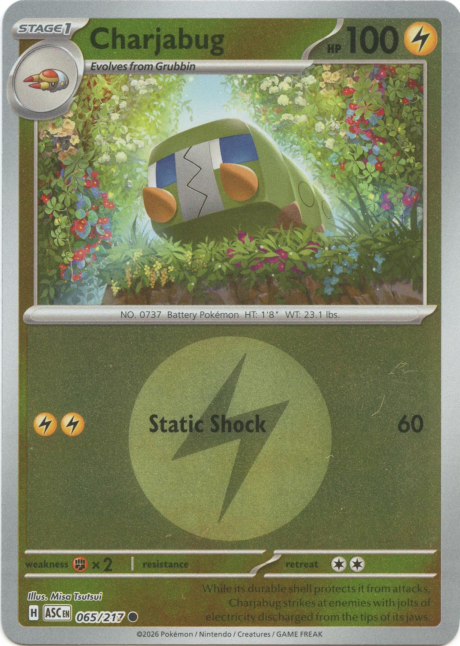 Charjabug (065/217) (Energy Symbol Pattern) [Mega Evolution: Ascended Heroes] Pokemon Single Pokémon  | Multizone: Comics And Games
