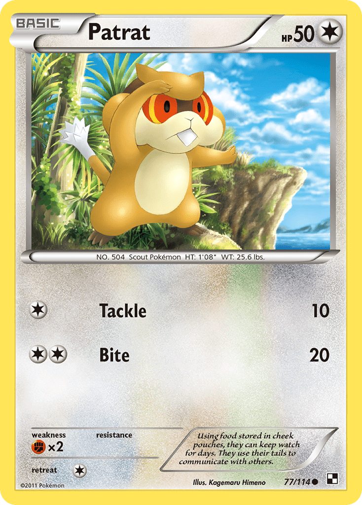 Patrat (77/114) [Black & White: Base Set] Pokemon Single Pokémon  | Multizone: Comics And Games