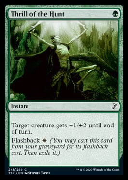 Thrill of the Hunt [Time Spiral Remastered] MTG Single Magic: The Gathering  | Multizone: Comics And Games