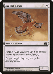 Suntail Hawk (Oversized) [Eighth Edition Box Topper] MTG Single Magic: The Gathering  | Multizone: Comics And Games