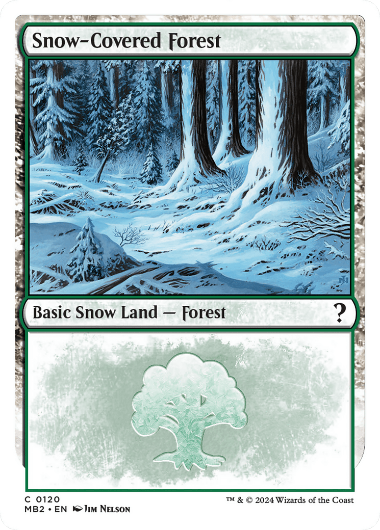 Snow-Covered Forest (White Border) [Mystery Booster 2] MTG Single Magic: The Gathering  | Multizone: Comics And Games