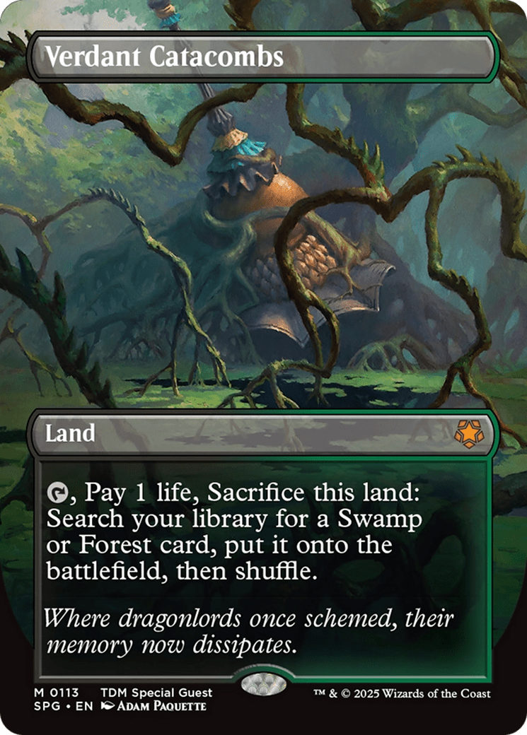 Verdant Catacombs (Borderless) [Tarkir: Dragonstorm Special Guests] MTG Single Magic: The Gathering  | Multizone: Comics And Games