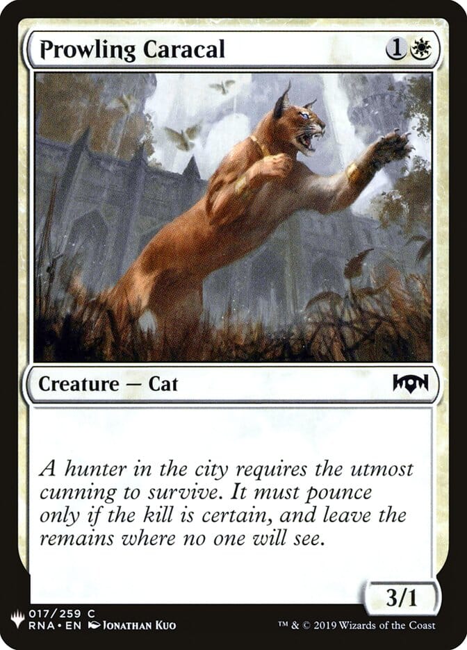 Prowling Caracal [Mystery Booster] MTG Single Magic: The Gathering  | Multizone: Comics And Games