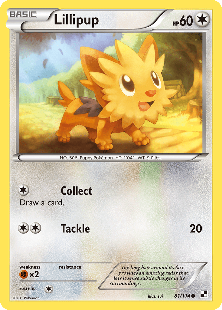 Lillipup (81/114) [Black & White: Base Set] Pokemon Single Pokémon  | Multizone: Comics And Games
