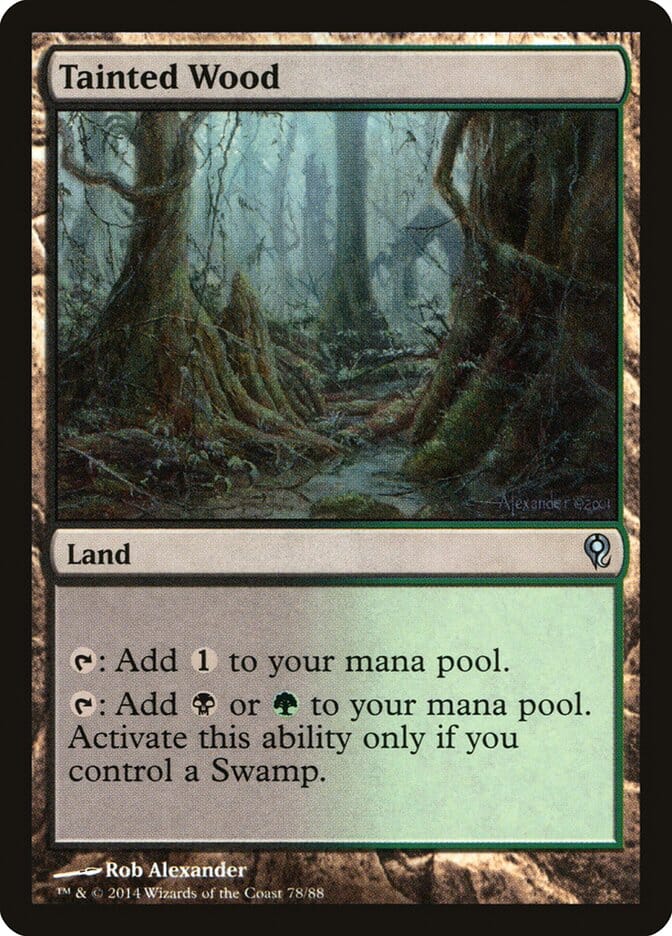Tainted Wood [Duel Decks: Jace vs. Vraska] MTG Single Magic: The Gathering  | Multizone: Comics And Games