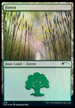 Forest (Elves) (579) [Secret Lair Drop Promos] MTG Single Magic: The Gathering  | Multizone: Comics And Games