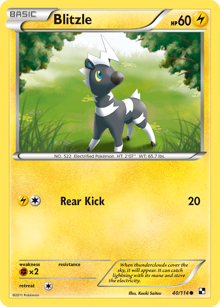 Blitzle (40/114) [Black & White: Base Set] Pokemon Single Pokémon  | Multizone: Comics And Games