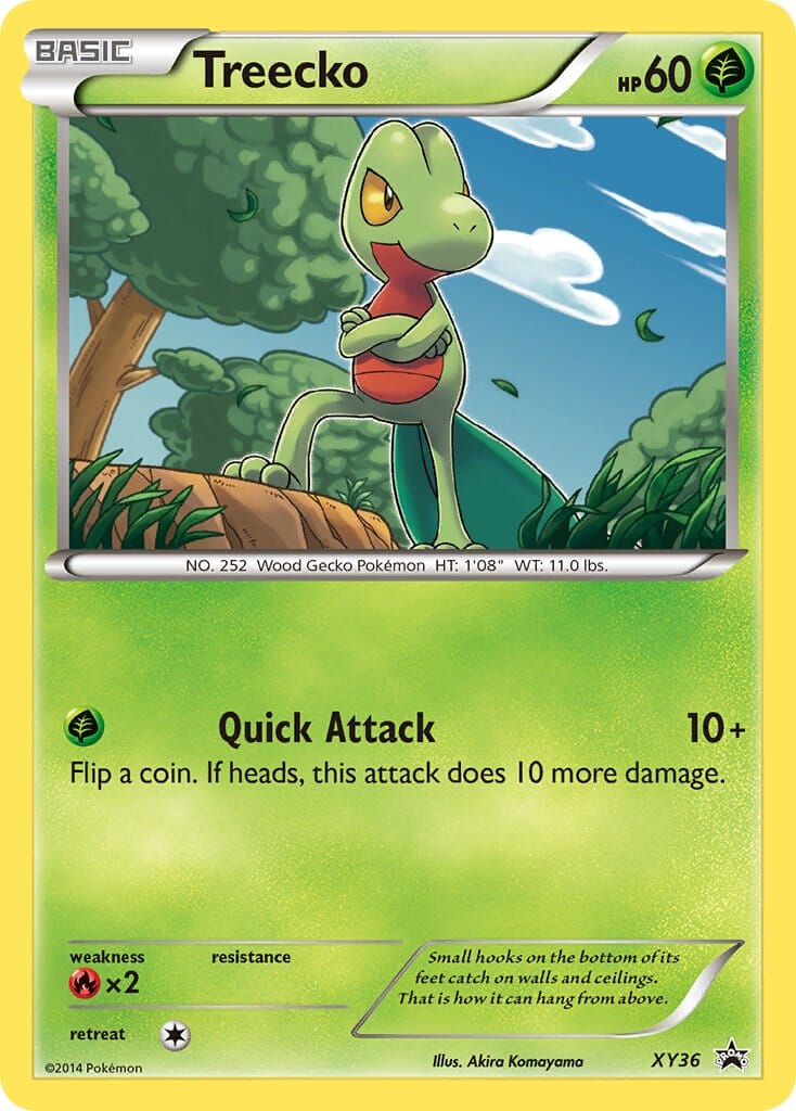 Treecko (XY36) [XY: Black Star Promos] Pokemon Single Pokémon  | Multizone: Comics And Games