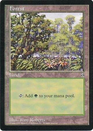 Forest (Oversized) [Oversize Cards] MTG Single Magic: The Gathering  | Multizone: Comics And Games
