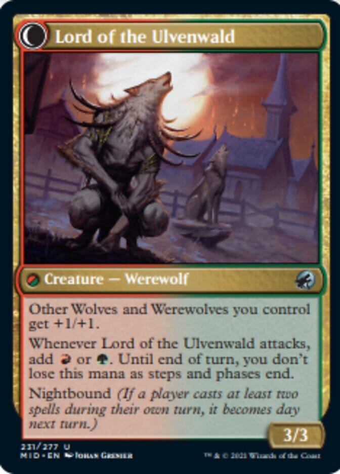 Kessig Naturalist // Lord of the Ulvenwald [Innistrad: Midnight Hunt] MTG Single Magic: The Gathering  | Multizone: Comics And Games