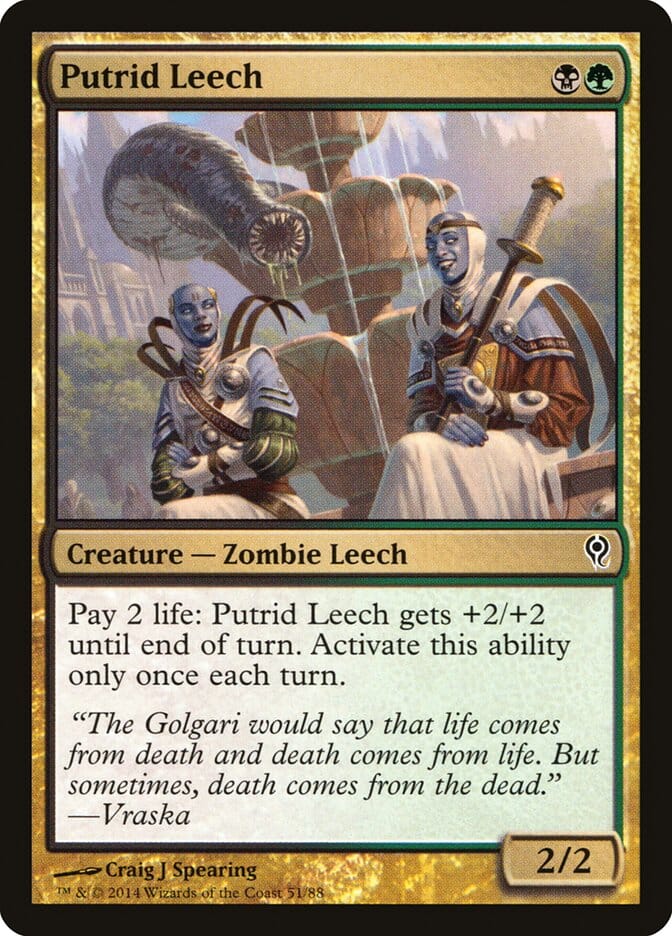 Putrid Leech [Duel Decks: Jace vs. Vraska] MTG Single Magic: The Gathering  | Multizone: Comics And Games