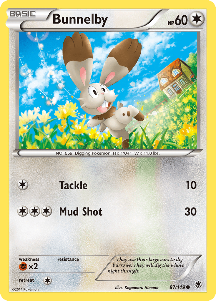 Bunnelby (87/119) [XY: Phantom Forces] Pokemon Single Pokémon  | Multizone: Comics And Games