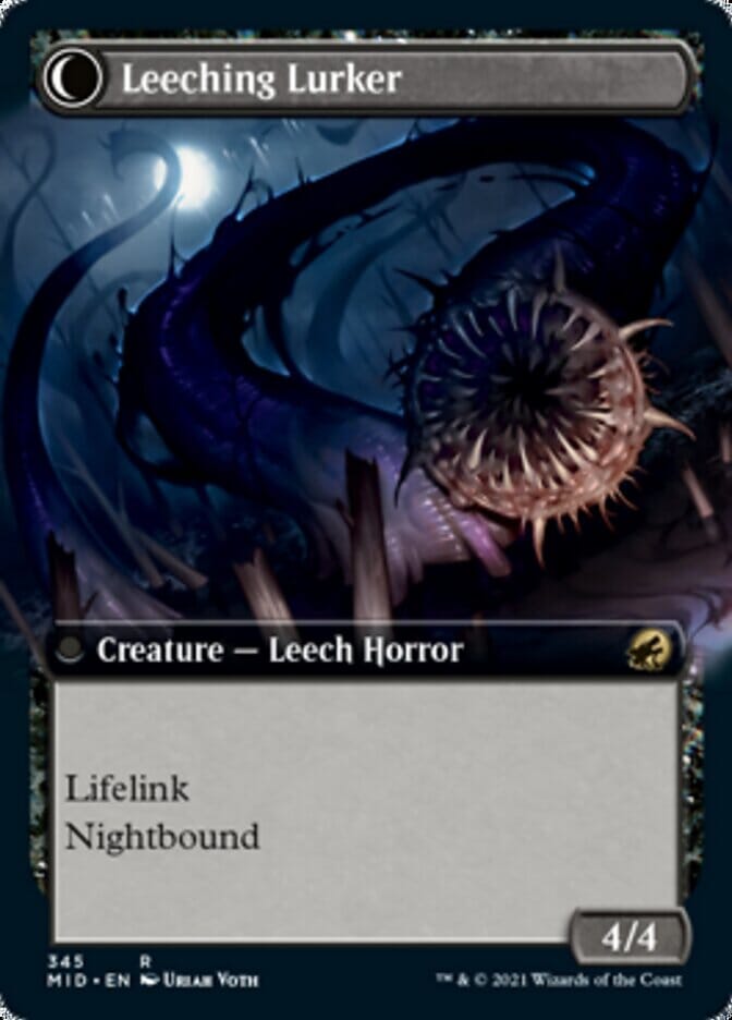 Curse of Leeches // Leeching Lurker (Extended Art) [Innistrad: Midnight Hunt] MTG Single Magic: The Gathering  | Multizone: Comics And Games