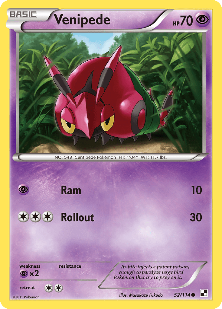 Venipede (52/114) [Black & White: Base Set] Pokemon Single Pokémon  | Multizone: Comics And Games