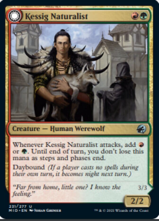 Kessig Naturalist // Lord of the Ulvenwald [Innistrad: Midnight Hunt] MTG Single Magic: The Gathering  | Multizone: Comics And Games
