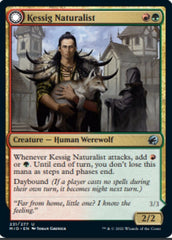 Kessig Naturalist // Lord of the Ulvenwald [Innistrad: Midnight Hunt] MTG Single Magic: The Gathering  | Multizone: Comics And Games