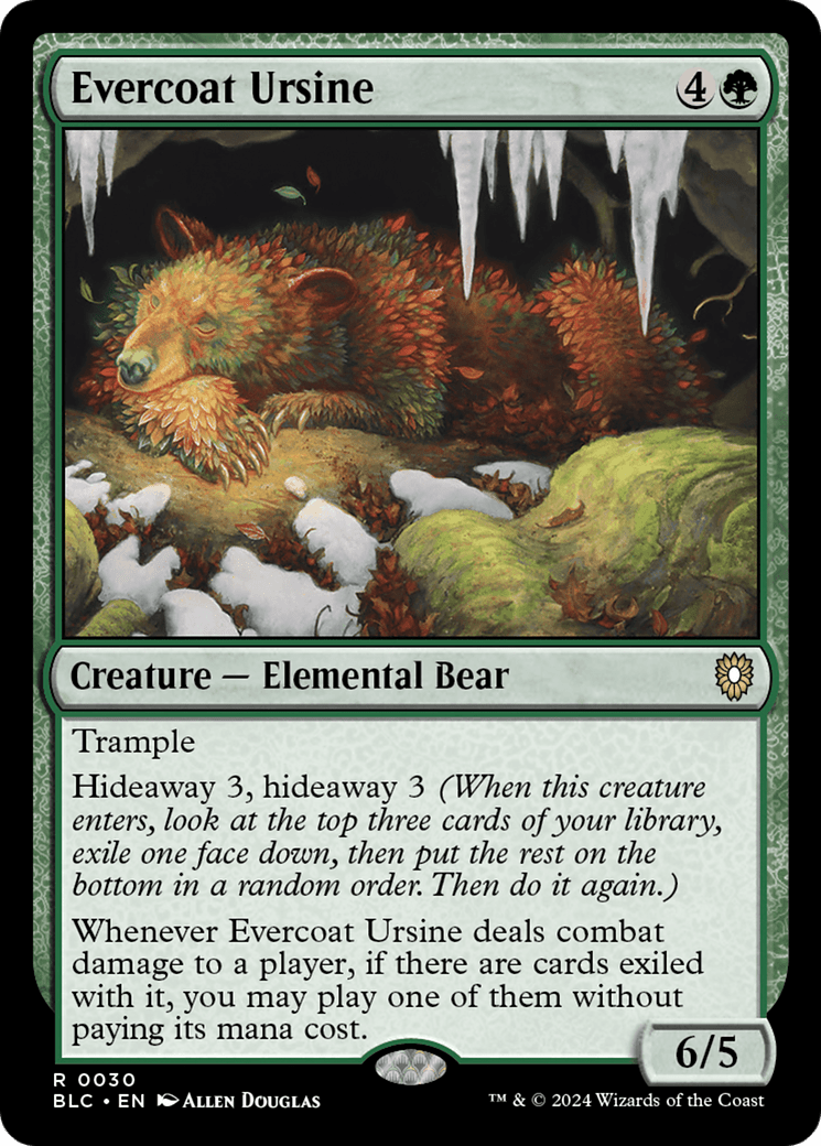 Evercoat Ursine [Bloomburrow Commander] MTG Single Magic: The Gathering  | Multizone: Comics And Games