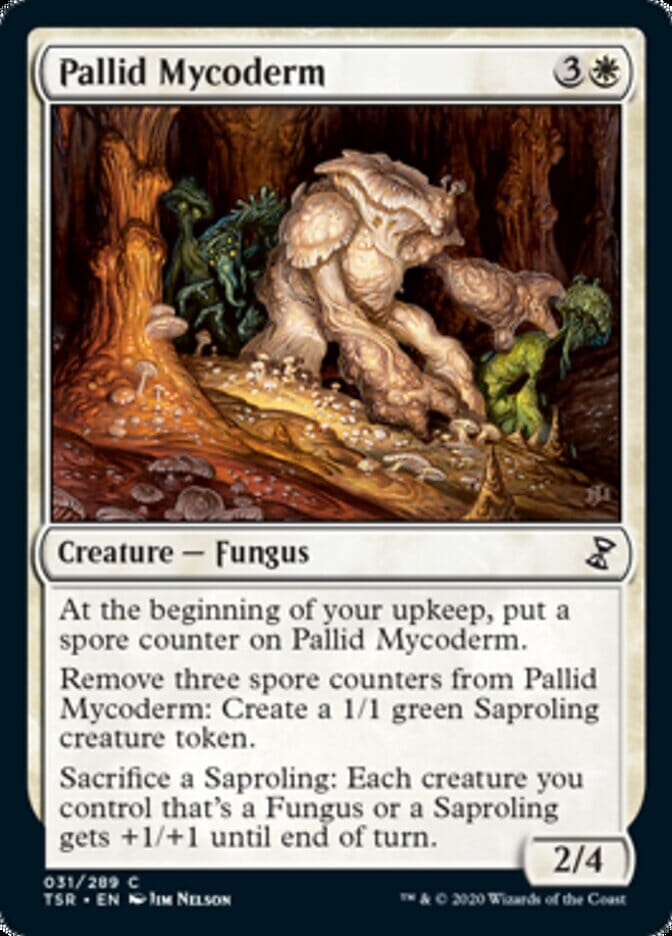 Pallid Mycoderm [Time Spiral Remastered] MTG Single Magic: The Gathering  | Multizone: Comics And Games