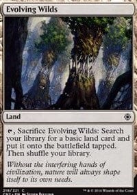 Evolving Wilds [Conspiracy: Take the Crown] MTG Single Magic: The Gathering  | Multizone: Comics And Games