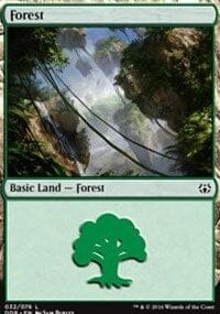 Forest [Duel Decks: Nissa vs. Ob Nixilis] MTG Single Magic: The Gathering  | Multizone: Comics And Games