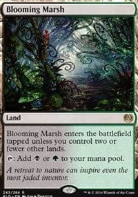 Blooming Marsh [Kaladesh] MTG Single Magic: The Gathering  | Multizone: Comics And Games