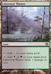 Llanowar Wastes [Ninth Edition] MTG Single Magic: The Gathering  | Multizone: Comics And Games