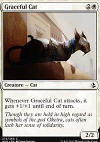 Graceful Cat [Amonkhet] MTG Single Magic: The Gathering  | Multizone: Comics And Games