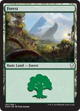 Forest [Dominaria] MTG Single Magic: The Gathering  | Multizone: Comics And Games