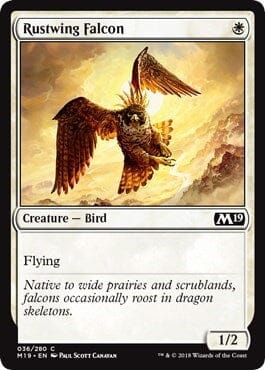 Rustwing Falcon [Core Set 2019] MTG Single Magic: The Gathering  | Multizone: Comics And Games